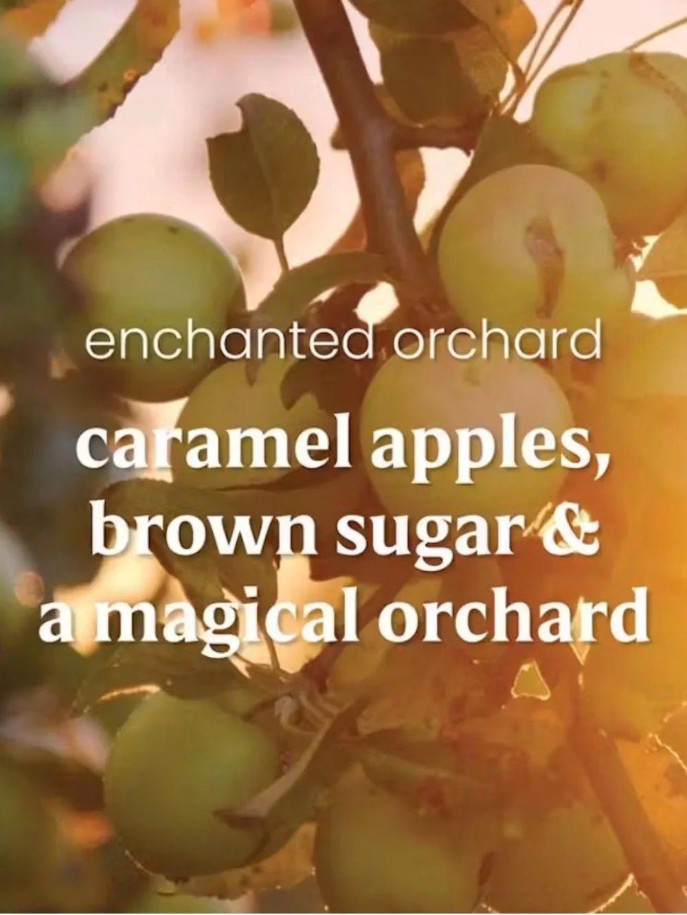 RESERVED- Marisa- Yankee Candle (R $25) Enchanted Orchard